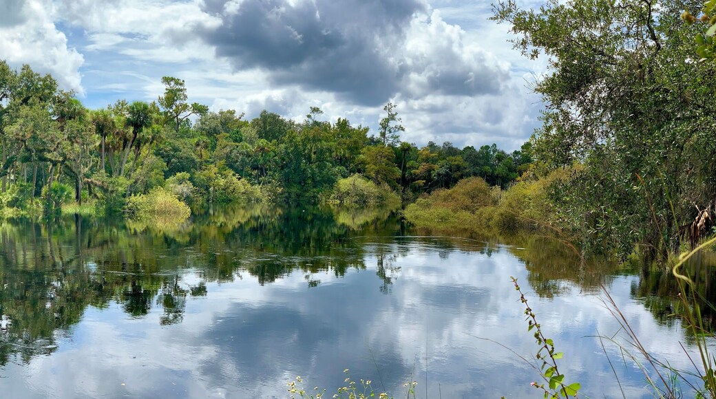 Econlockhatchee River running through Little Big Econ State Forest in Orlando in central Florida