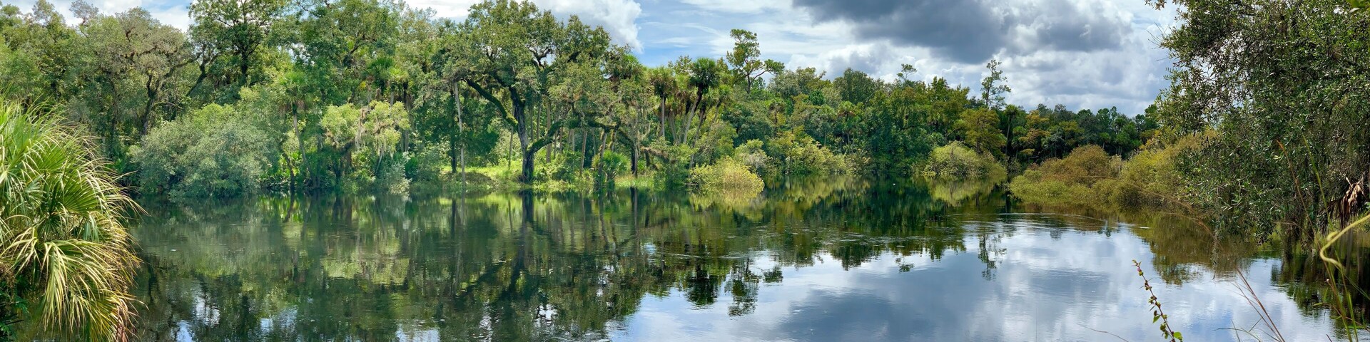 Econlockhatchee River running through Little Big Econ State Forest in Orlando in central Florida