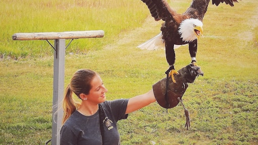 Located 20 minutes from Lethbridge, Birds of Prey is a rehabilitation centre for all sorts of cool winged animals. There are owls, eagles, hawks and more!
#TroverRT