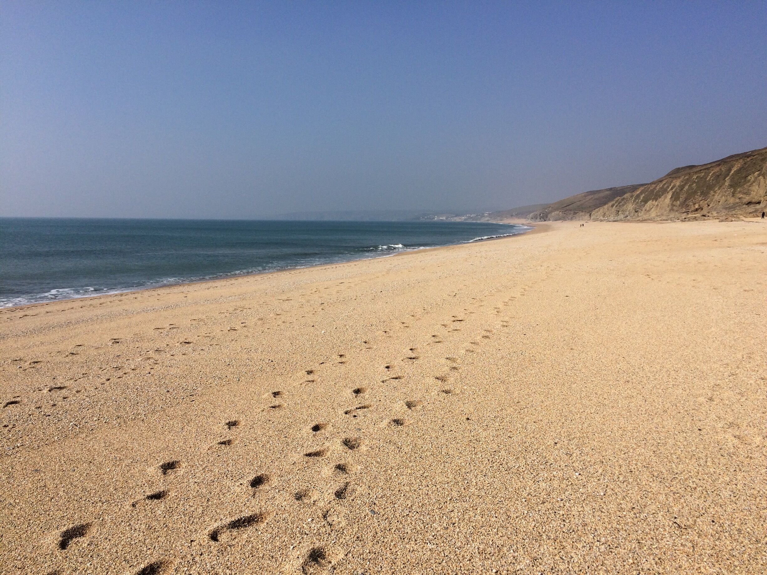 A sandy beach with footprints leading to the water, a clear sky, and a distant cliff.