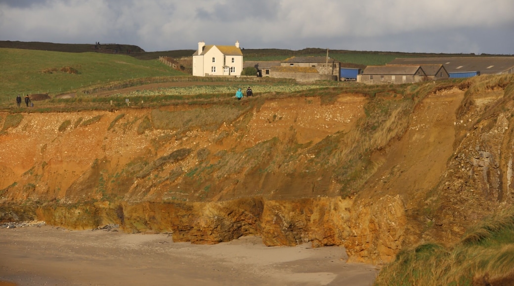 This lonely farm house is quite common along this coastline. Some offer holiday accommodation