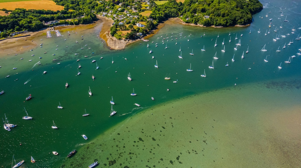 A coastal landscape with a village surrounded by fields and a bay filled with sailboats.