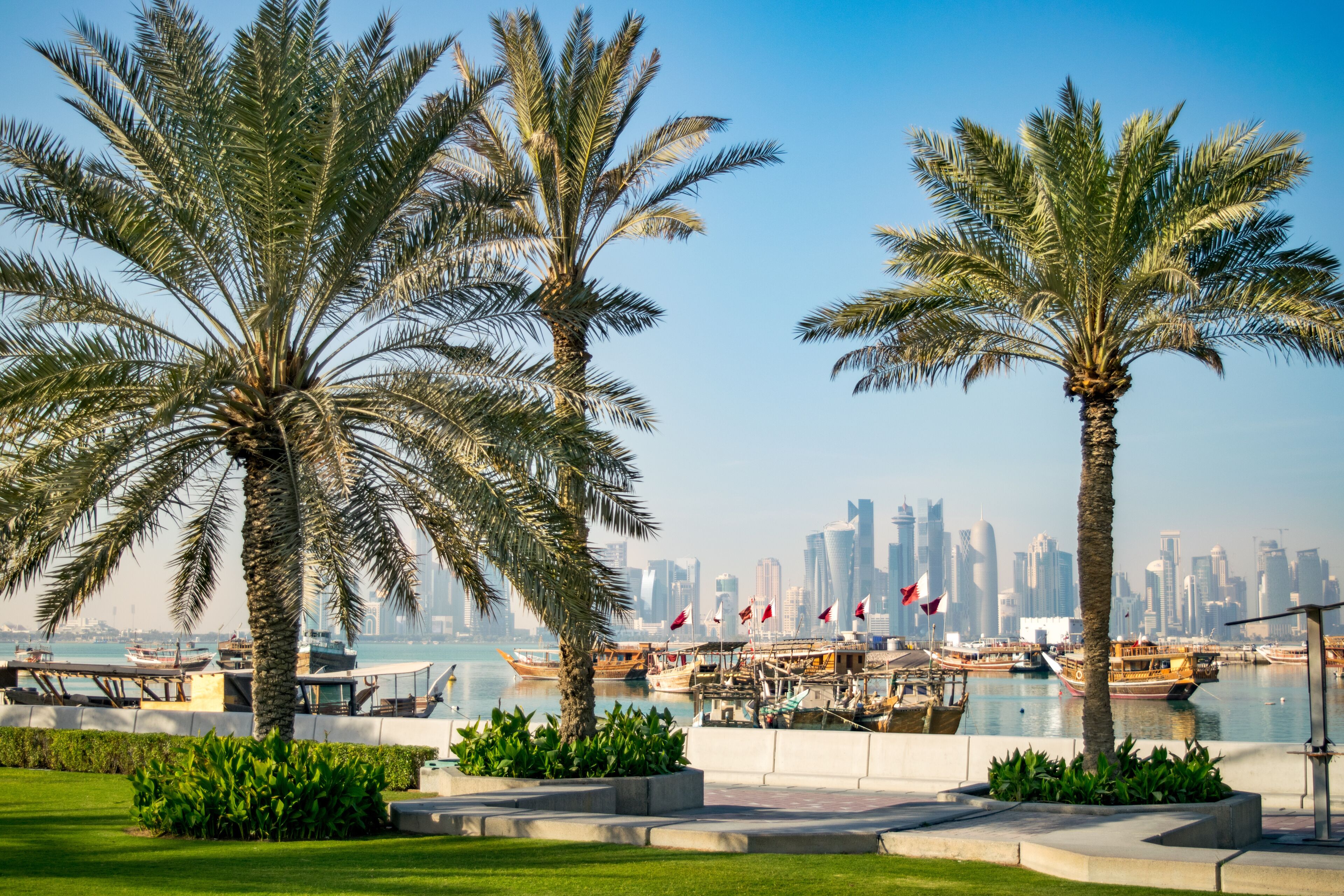 A waterfront with palm trees, boats, and a city skyline in the background.
