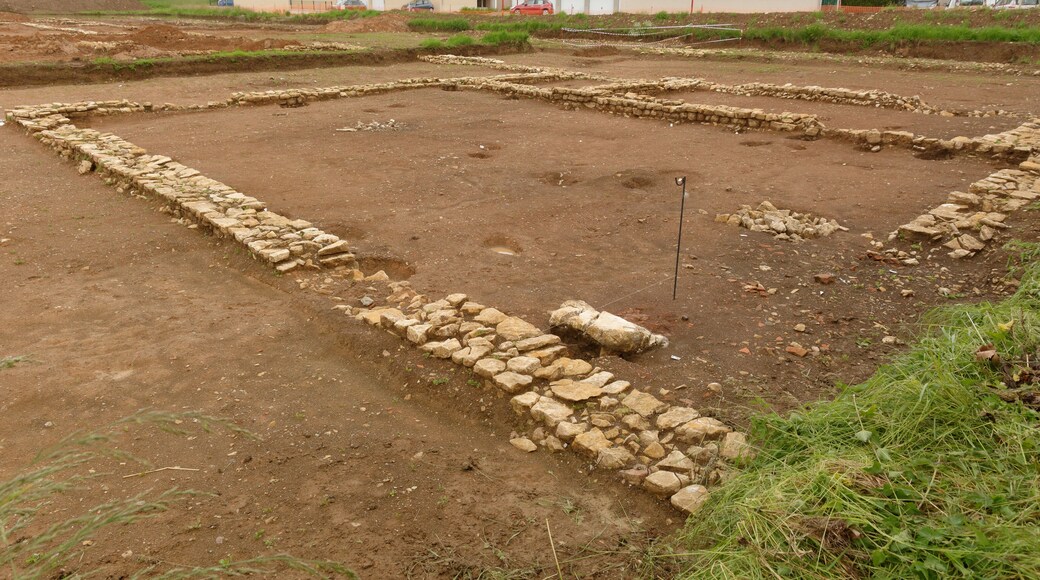 Personality rights Personality rights warningAlthough this work is freely licensed or in the public domain, the person(s) shown may have rights that legally restrict certain re-uses unless those depicted consent to such uses. In these cases, a model release or other evidence of consent could protect you from infringement claims. Though not obliged to do so, the uploader may be able to help you to obtain such evidence. See our general disclaimer for more information.