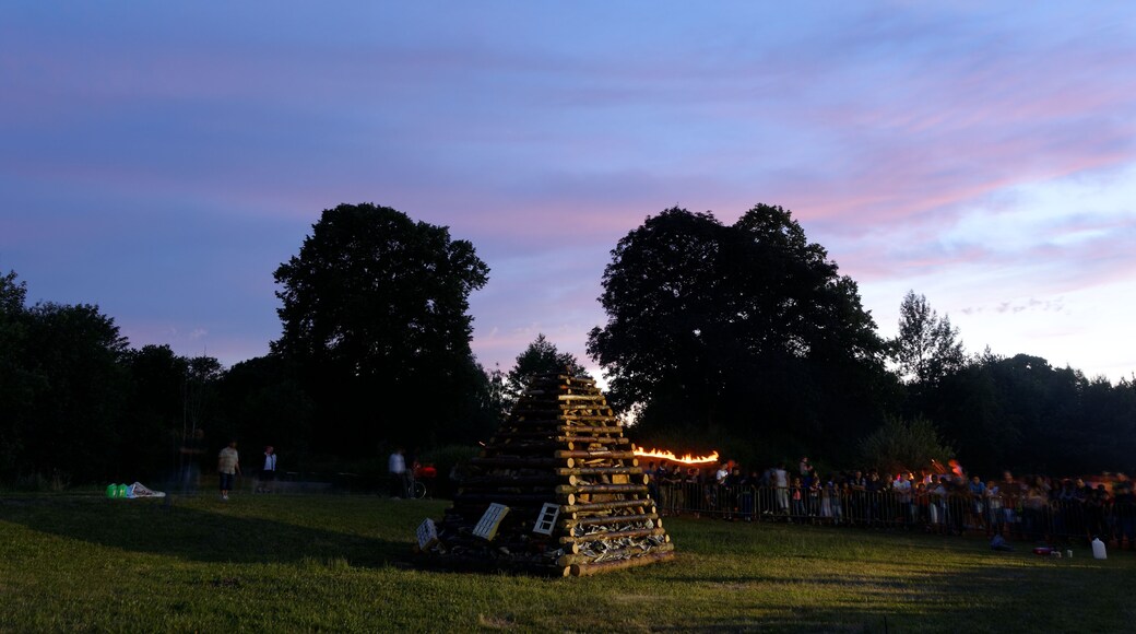 This file was uploaded with Commonist. Feu de la Saint Jean, au parc de la Douce, Ă Bavilliers.