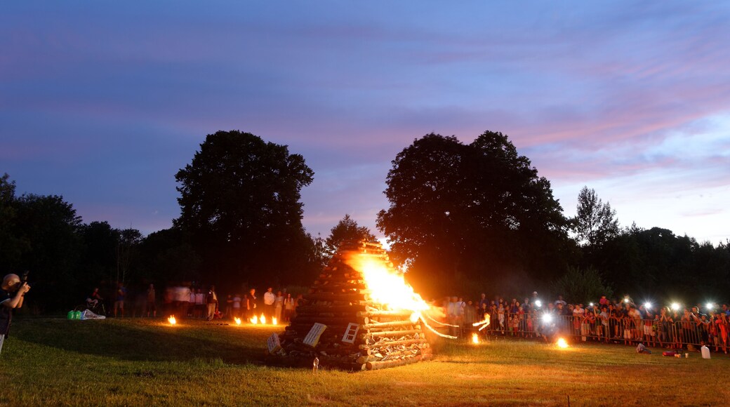 This file was uploaded with Commonist. Feu de la Saint Jean, au parc de la Douce, à Bavilliers. Le feu est allumé par un cracheur de feu.