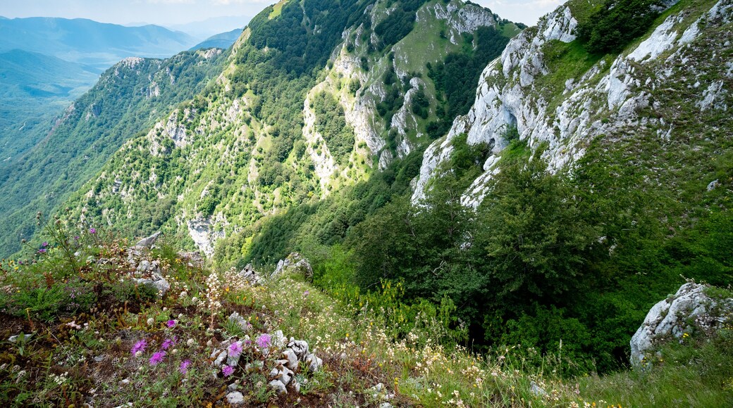 the top of mount Accellica Sud, Monte Raione. Picentini Natural Park, Giffoni Valle Piana, Campania, Salerno, Italy
