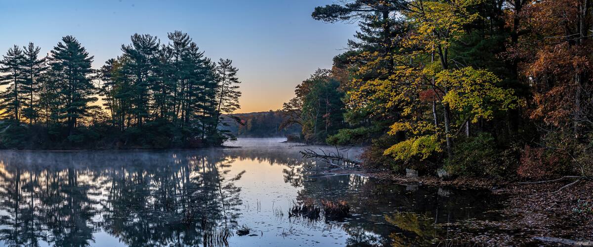 A serene lake surrounded by dense trees with autumn foliage, reflecting the sky and trees.