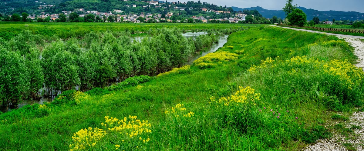 A rural landscape with a river, green fields, yellow flowers, and a distant village with buildings and a church.