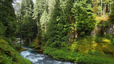 McKenzie River Oregon.