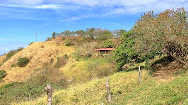 Um morro com uma casa pequena no topo, cercado por grama seca e árvores.