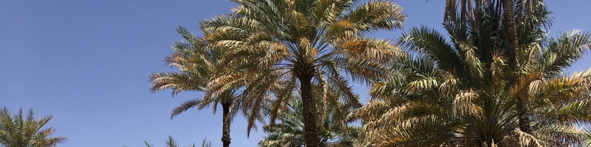 Wadi Bani Khalid is a Paradise in the middle of the Desert in Oman....