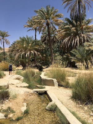 Wadi Bani Khalid is a Paradise in the middle of the Desert in Oman....