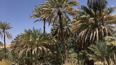 Wadi Bani Khalid is a Paradise in the middle of the Desert in Oman....