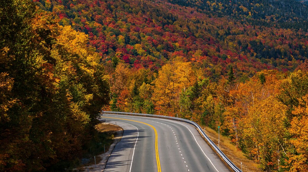 Mount Washington Highway in Fall (New Hampshire, USA)