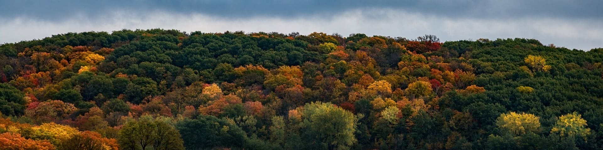 A great state park in central MN. It offers some great views for fall colors and plenty of hiking and camping opportunities.