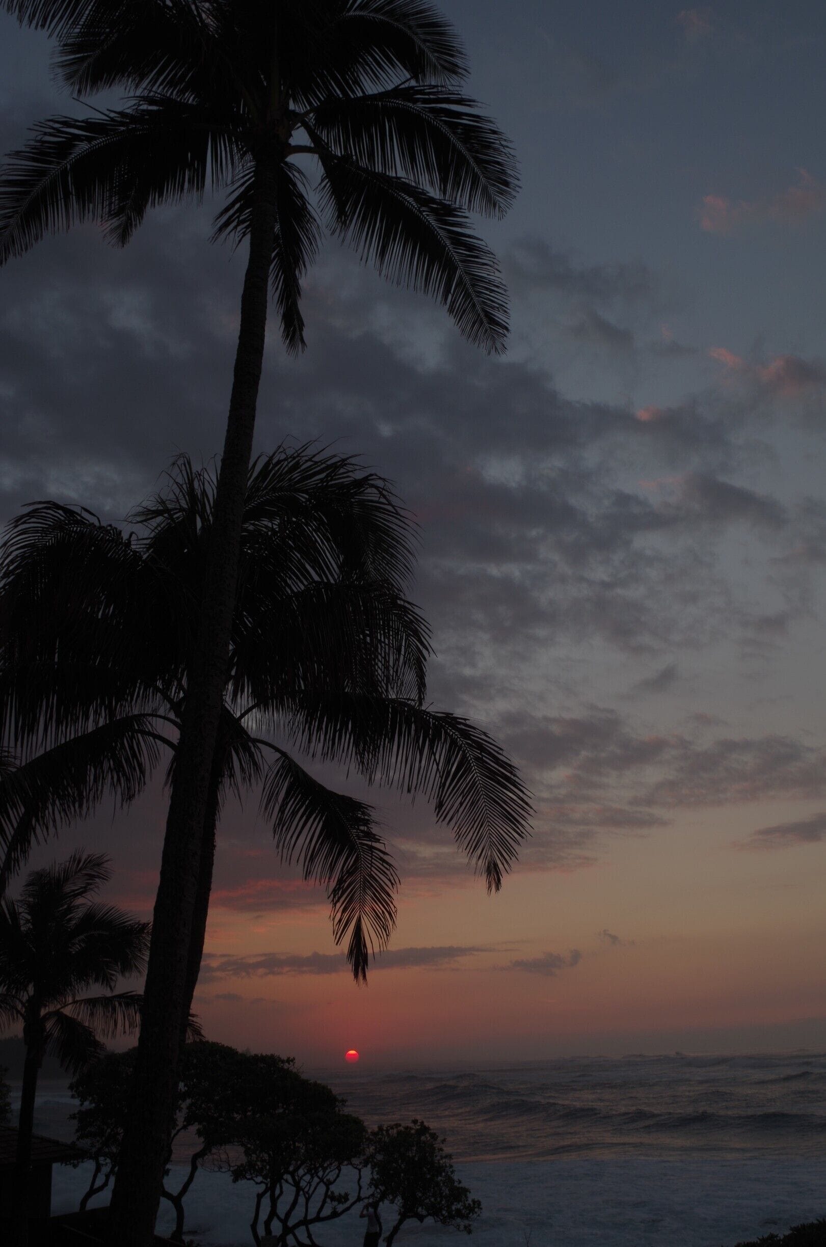 Oahu's North Shore #GoldenHour