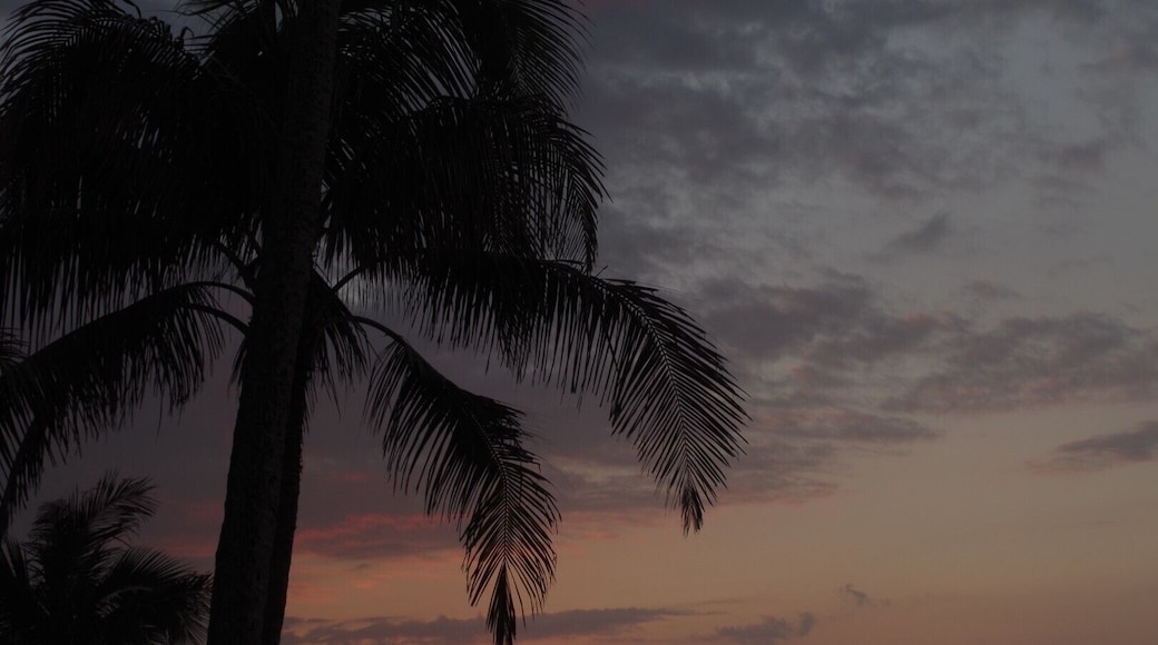 Oahu's North Shore #GoldenHour