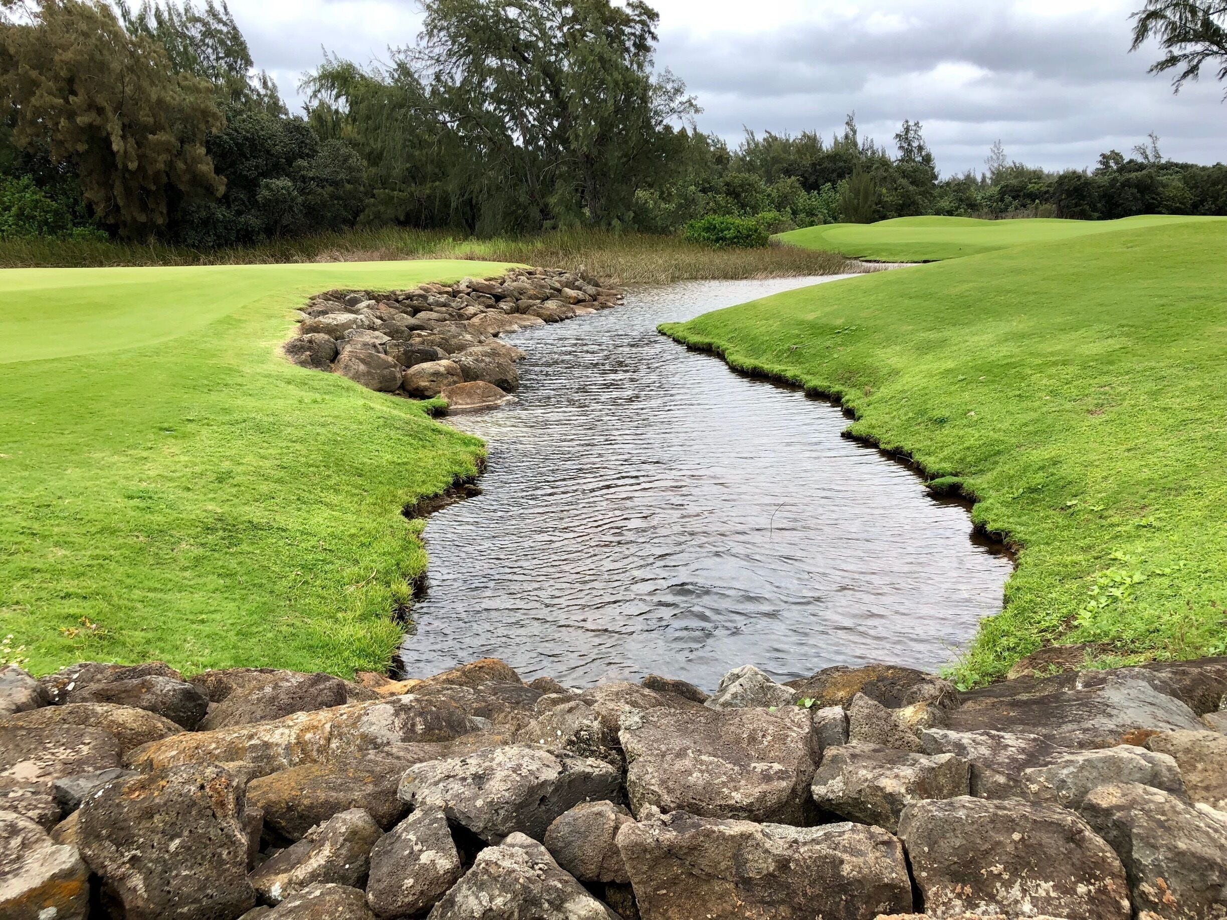 Turtle Bay Palmer Course #River