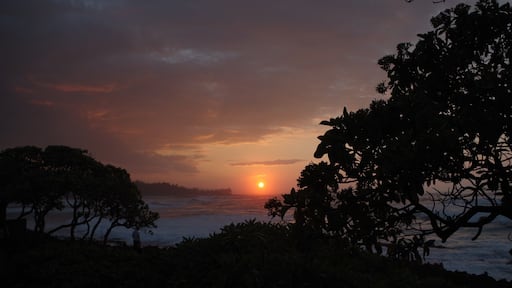Oahu's North Shore #GoldenHour