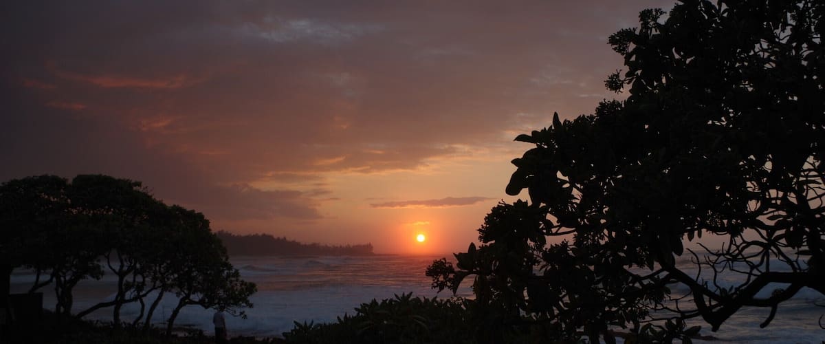 A sunset over the ocean with silhouettes of trees and a person in the foreground.