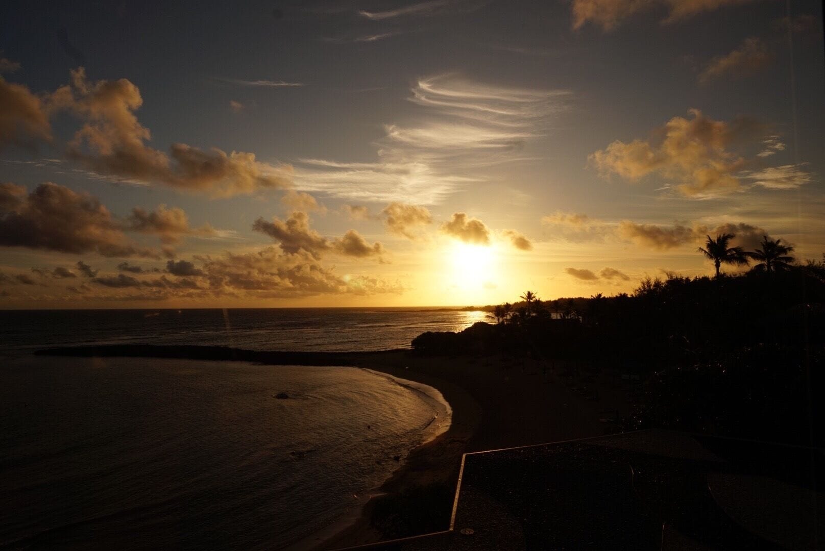 A sunset over a beach with palm trees silhouetted against the sky.