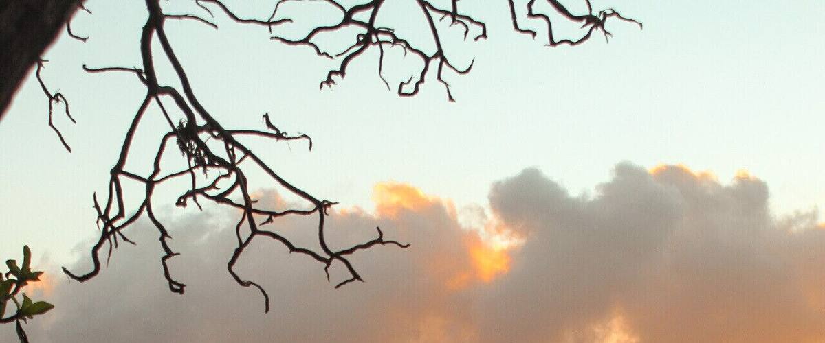 Surfing culture in Hawaii is actually as big a deal as the stereotype portrays! There are people everywhere with surfboards. Sticking out that back of their car, outside their home, or being held as they ride their bikes. I have a lot of respect for that maneuver. Seems like it would take a lot of practice 🏄