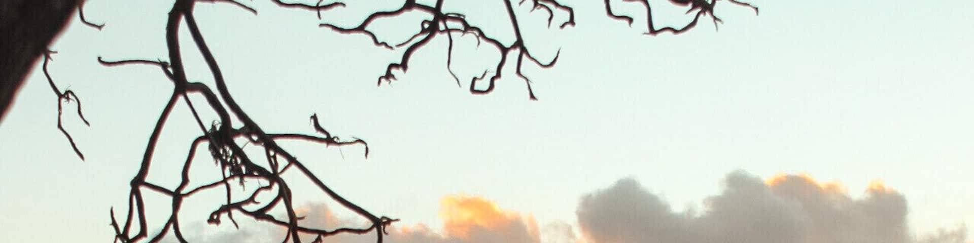 Surfing culture in Hawaii is actually as big a deal as the stereotype portrays! There are people everywhere with surfboards. Sticking out that back of their car, outside their home, or being held as they ride their bikes. I have a lot of respect for that maneuver. Seems like it would take a lot of practice 🏄