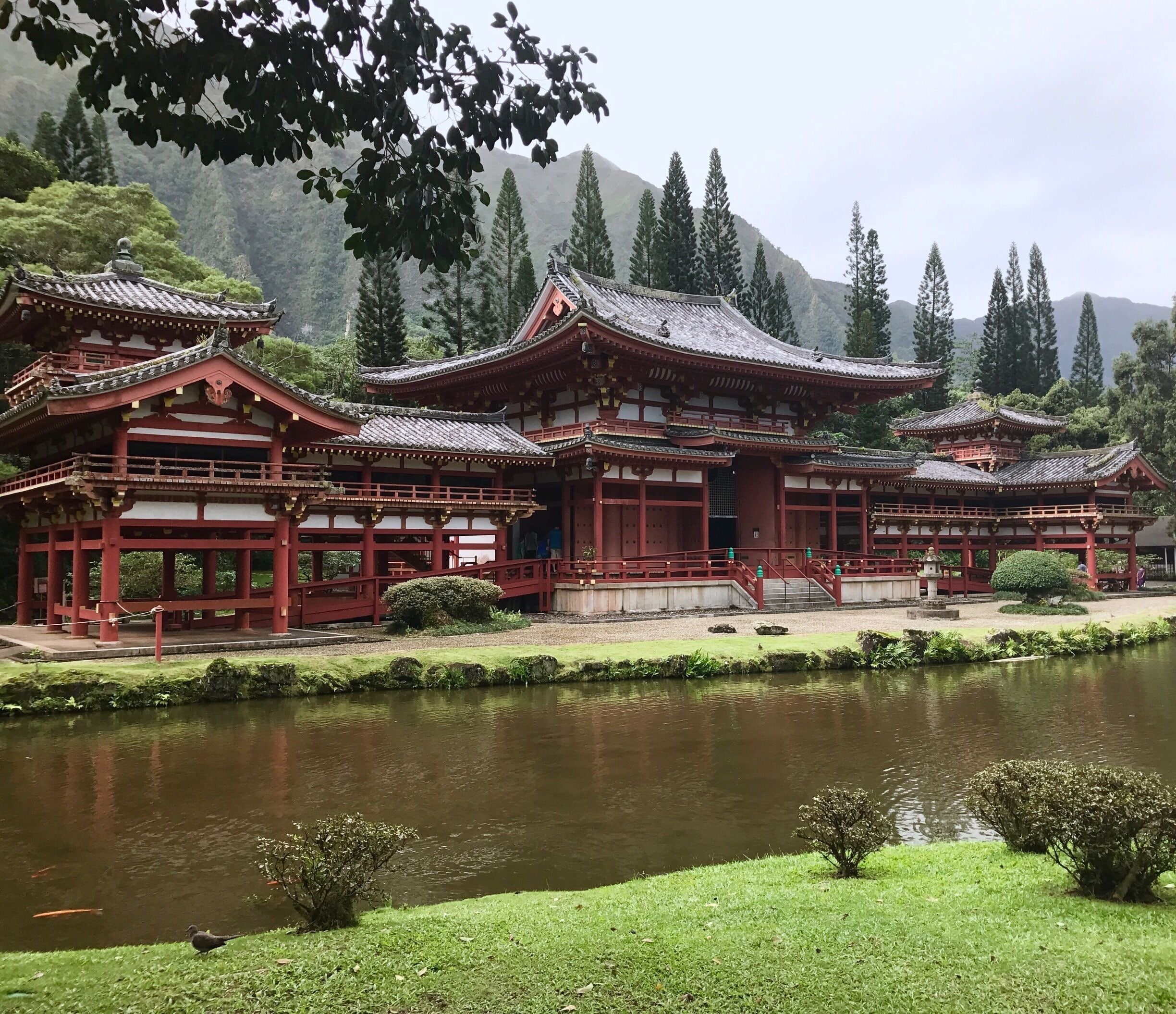 Een traditioneel Japans tempelcomplex met meerdere gebouwen, een vijver en omliggend groen.