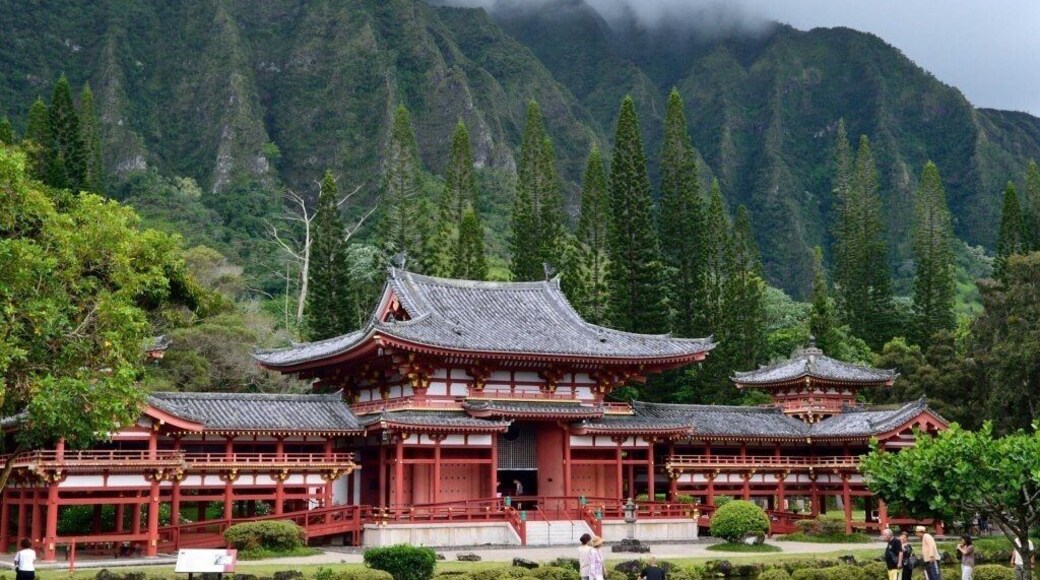 This place is really cool!