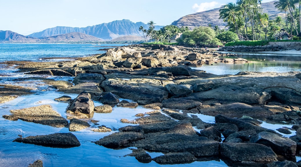 beautiful blue sky and beach scenes on secret beach oahu hwaii