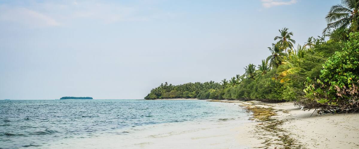 A beach with clear turquoise water, white sand, and a line of palm trees.