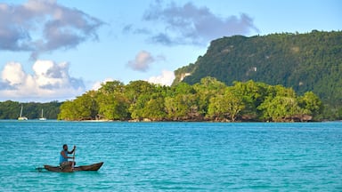 Un hombre remando en una canoa sobre aguas turquesas, con una isla boscosa al fondo.
