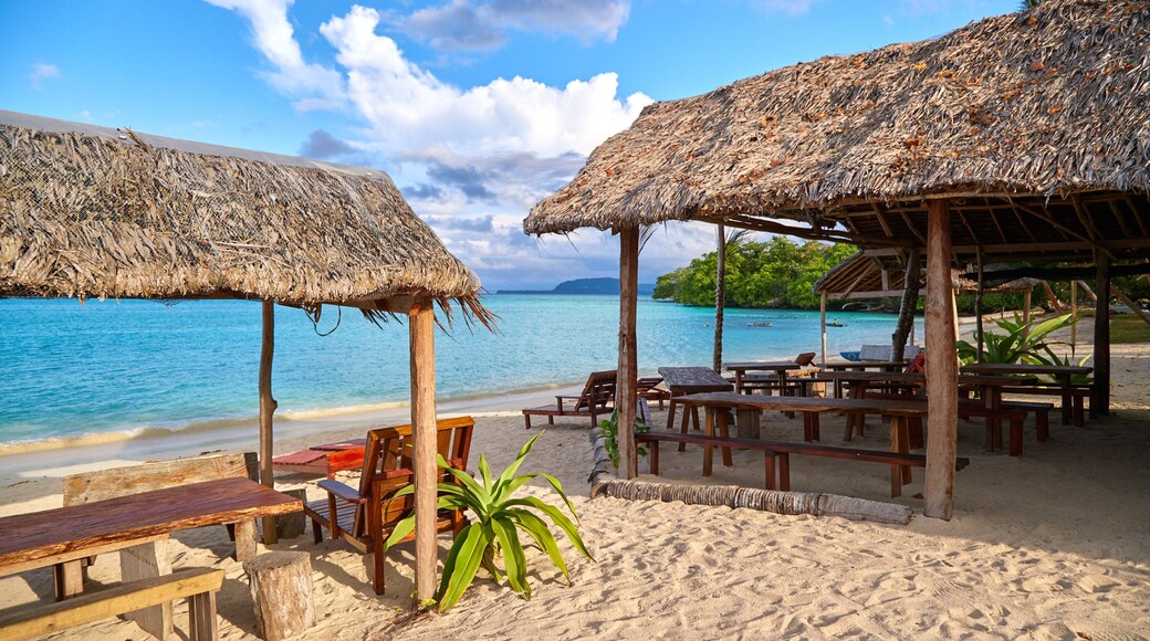 Port Olry som inkluderer kyst, sandstrand og tropisk landskap