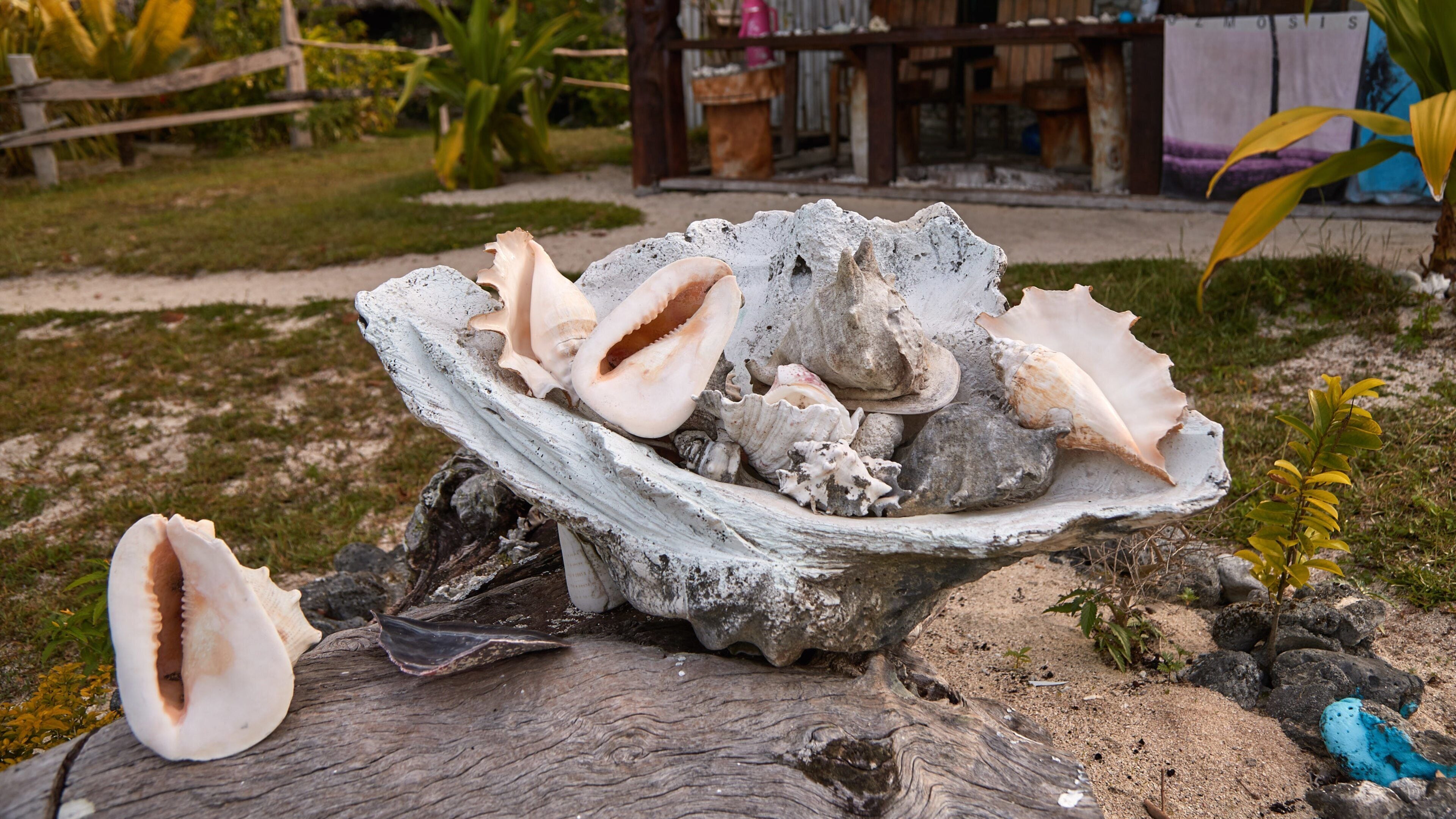 Port Olry ofreciendo escenas tropicales