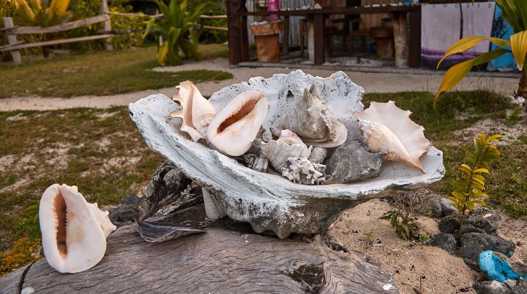 Port Olry ofreciendo escenas tropicales