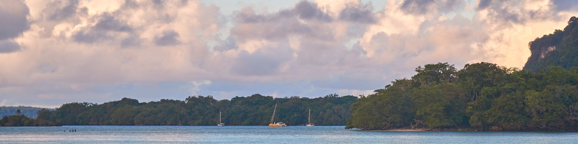 A calm sea with boats and sailboats, a forested island, and a cloudy sky.