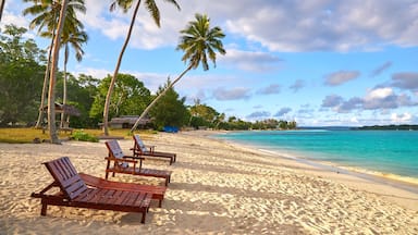 Port Olry featuring a beach, tropical scenes and general coastal views