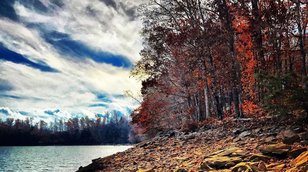 Serenity at its best.