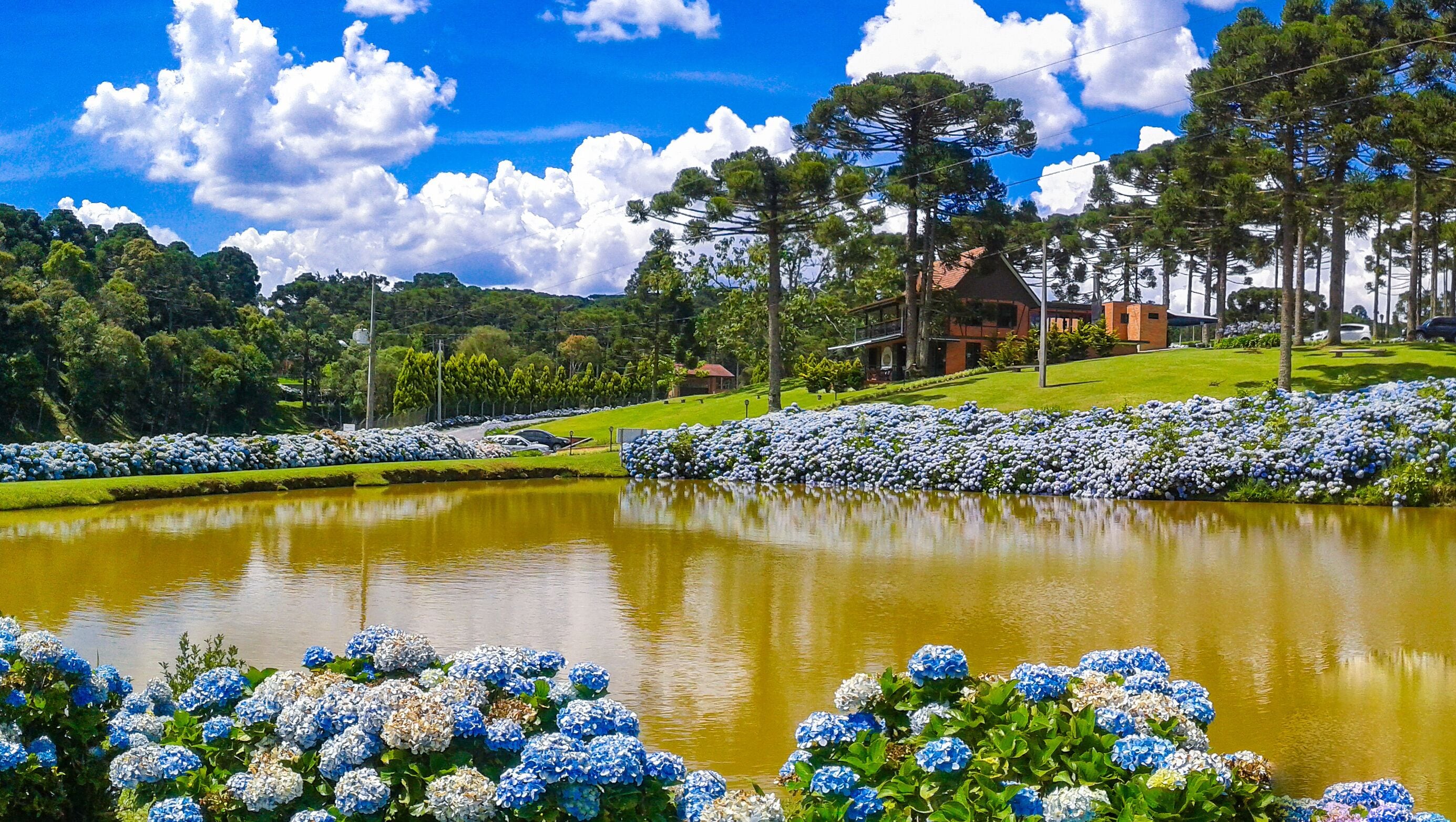 Lago com flores e casa rústica ao fundo