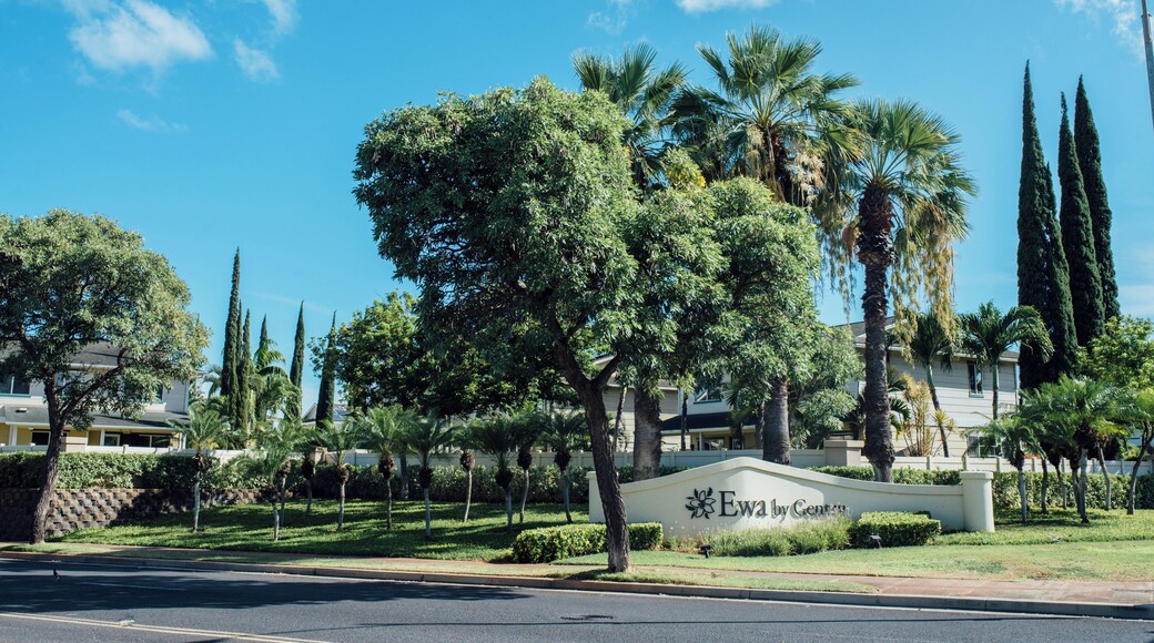 EyeEm Custom Shoots Q4 2018