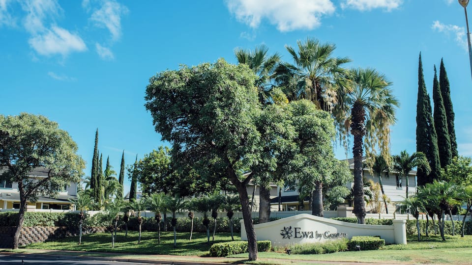 EyeEm Custom Shoots Q4 2018