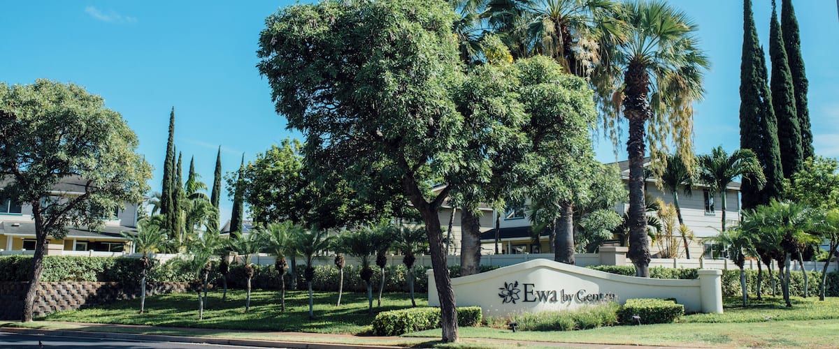 EyeEm Custom Shoots Q4 2018