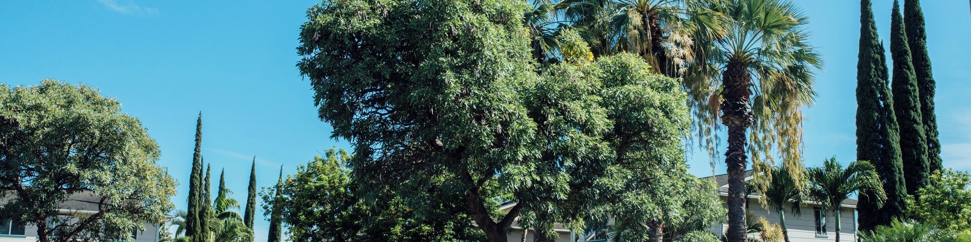 EyeEm Custom Shoots Q4 2018