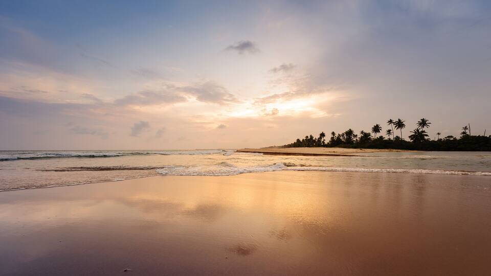 A beach at sunset with calm waves, a sandy shore, and palm trees in the background.