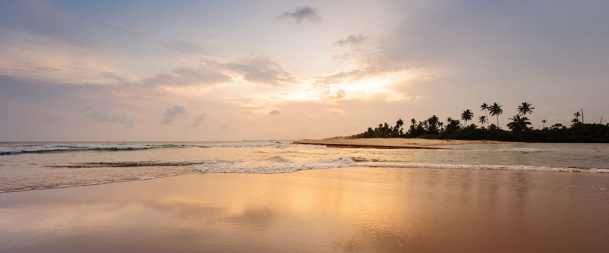 A beach at sunset with calm waves, a sandy shore, and palm trees in the background.