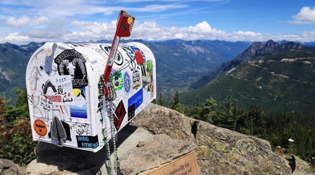 4000 ft elevation gain in 2.5 miles. It took me 2 hours 12 minutes to get to the top. Definitely the hardest hike so far.