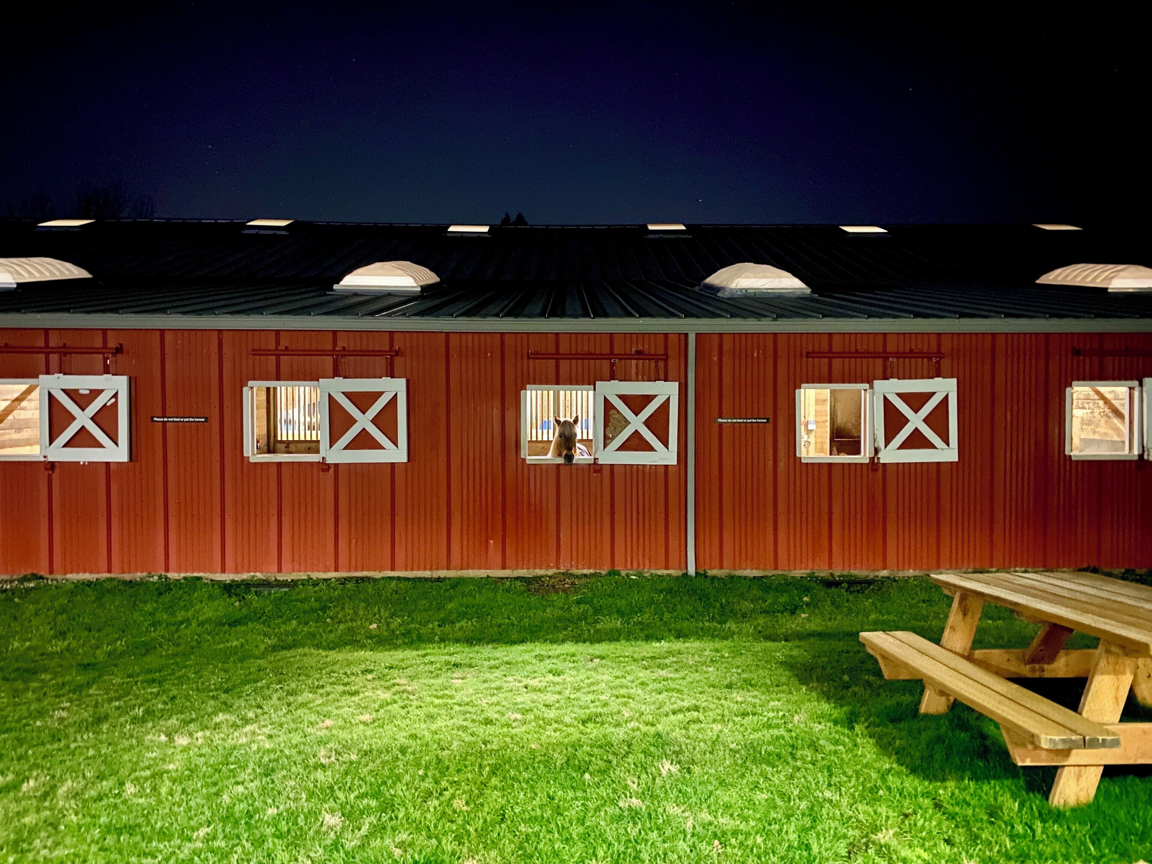 Touring the facility. They have 1,200+ volunteers and are always looking for more! #trovember

TheIr mission: “Little Bit Therapeutic Riding Center is a community where horses transform the bodies, minds, and spirits of people with disabilities.”