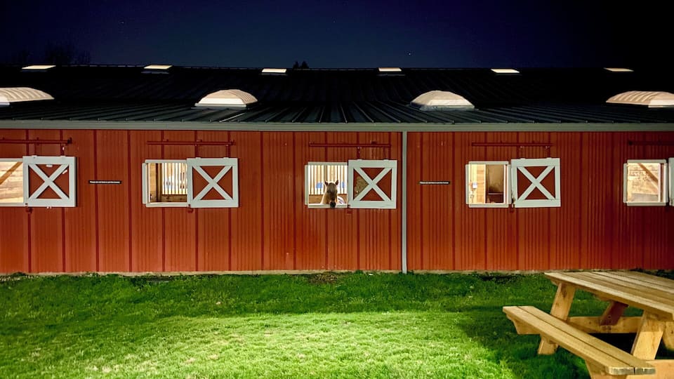 Touring the facility. They have 1,200+ volunteers and are always looking for more! #trovember
TheIr mission: “Little Bit Therapeutic Riding Center is a community where horses transform the bodies, minds, and spirits of people with disabilities.”