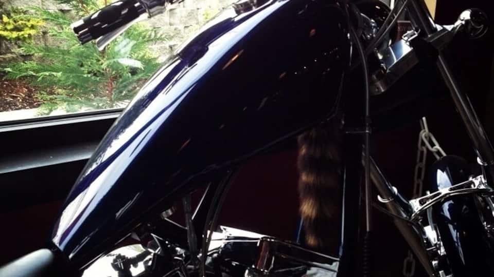 Shiny motorcycle in a funky coffee shop that has a lot of random stuff for sale ("redneck windchime" is one of the items). Wonder if they're selling the bike, too. Note: I haven't tried their coffee yet. #motorcycle